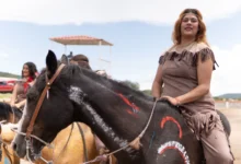بيزنس الخيول العربية لهوانم وسيدات المجتمع