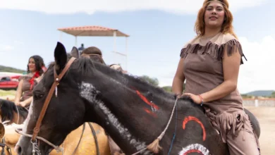 بيزنس الخيول العربية لهوانم وسيدات المجتمع