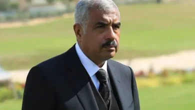 تفاصيل اتفاقية طلعت مصطفى وصندوق الاستثمارات